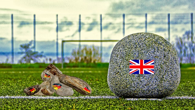 轻球员的培 轻球员的培