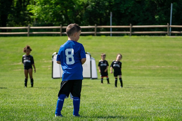 体育世界尊 体育世界尊