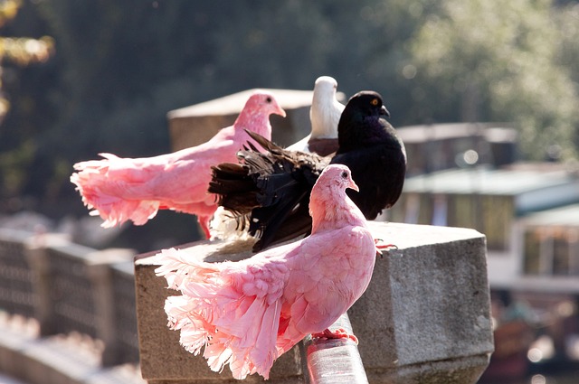 仅是赛事的 仅是赛事的