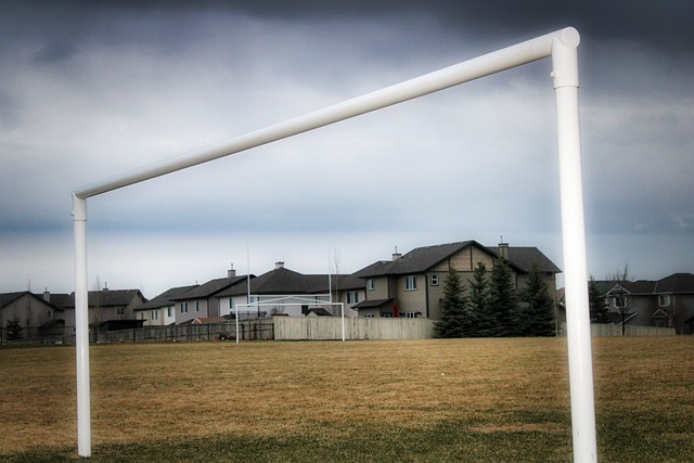 是运动员突 是运动员突