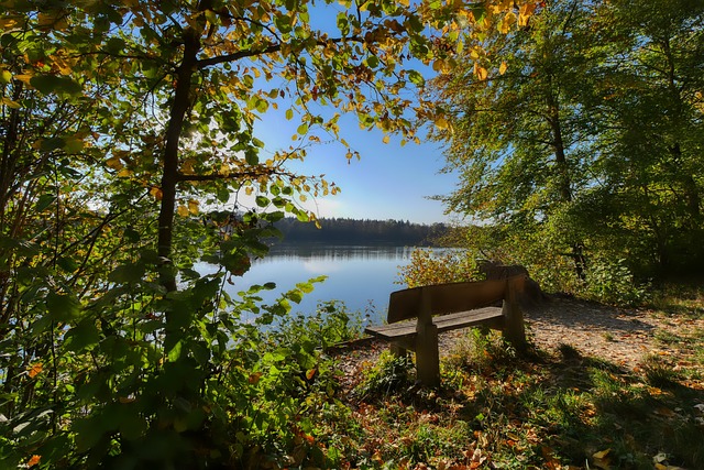 這場平局還 這場平局還