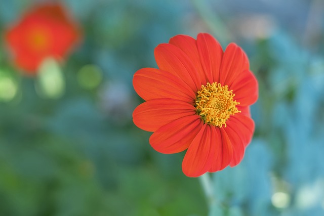 他们将尽快 他们将尽快