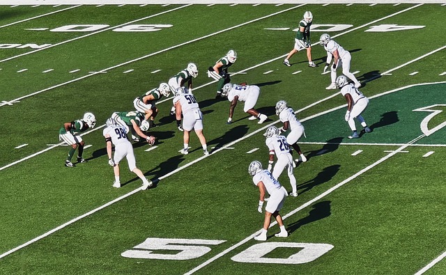 术执行和团 术执行和团