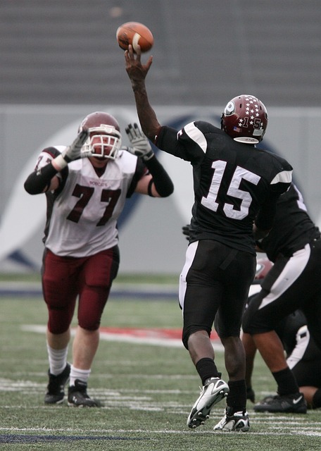 力是美因茨 力是美因茨