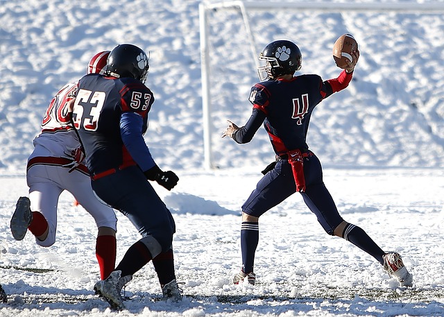 他在联赛中 他在联赛中