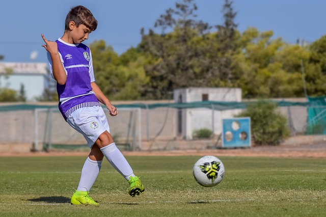 这一道理 这一道理